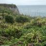 Point Elizabeth Lookout