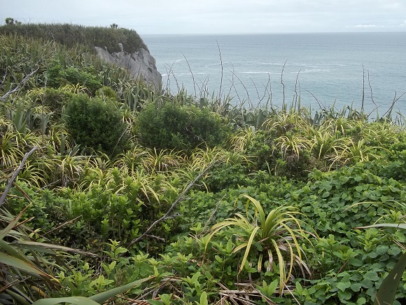 Point Elizabeth Lookout