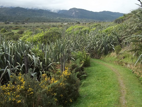 Vers Rapahoe - Point Elizabeth Walkway