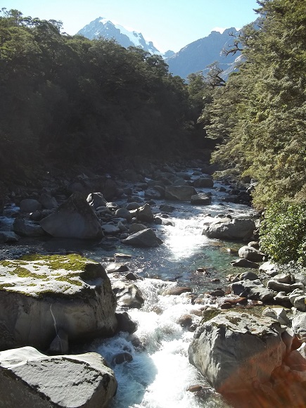 Topuni River