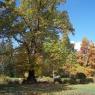 Queenstown Gardens