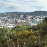 Mt Victoria