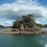 Taylor Island