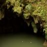 Waitomo Glowworm Caves