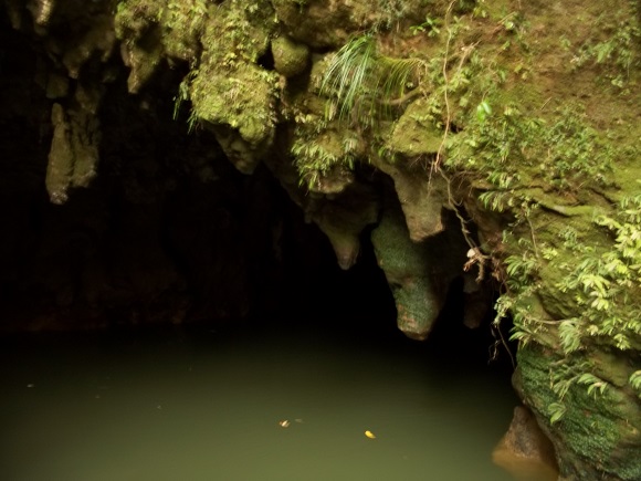 Waitomo Glowworm Caves