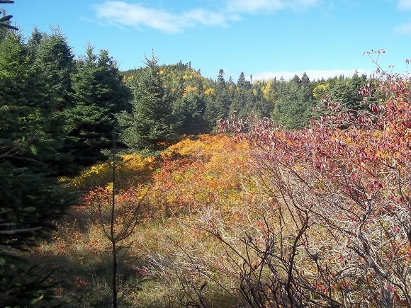 Vue depuis le Chemin-du-Nord