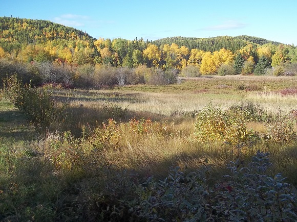 Secteur Rivière-du-Sud-Ouest