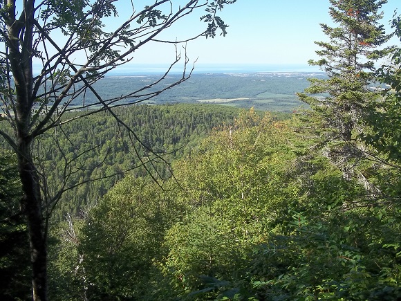 Secteur Mont Comi