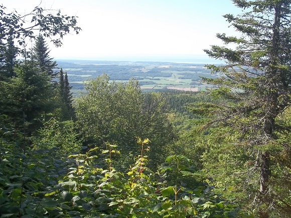 Secteur Mont Comi