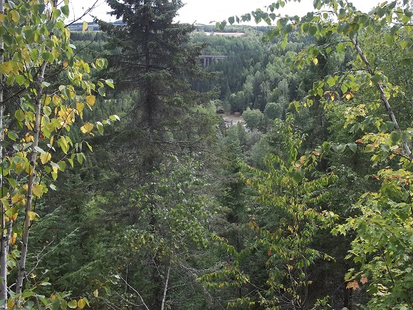 Sentier d'accès Passerelle Sénescoupé