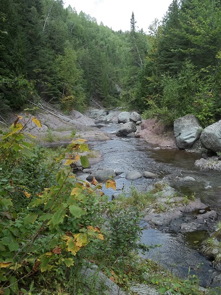 Sentier d'accès Passerelle Sénescoupé
