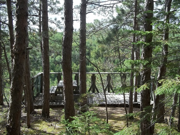 Belvédère Les Pins