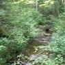 Ruisseau de l'Étang