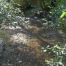 Ruisseau Robichaud