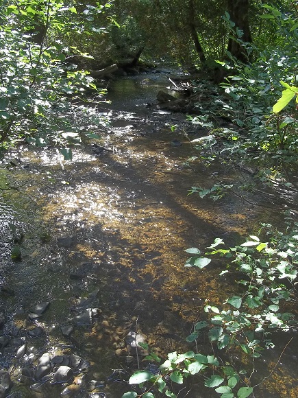 Ruisseau Robichaud