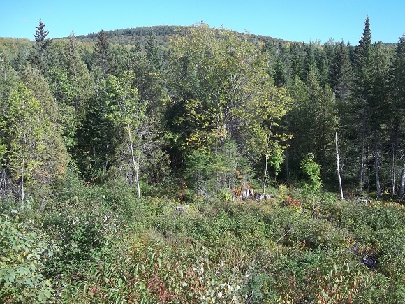 Près du stationnement de la route 232