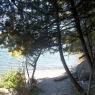 La Petite Plage