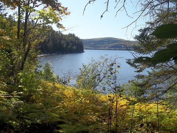 Point de vue intermédiaire
