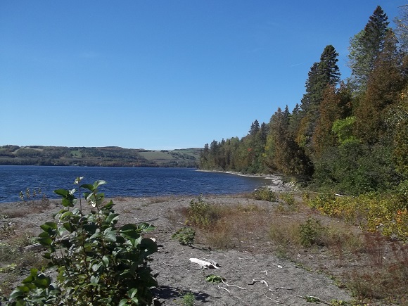 Point de vue intermédiaire