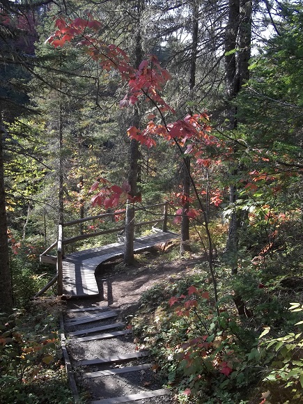 Sentier du Draveur