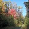 Sentier du Draveur, segment retour