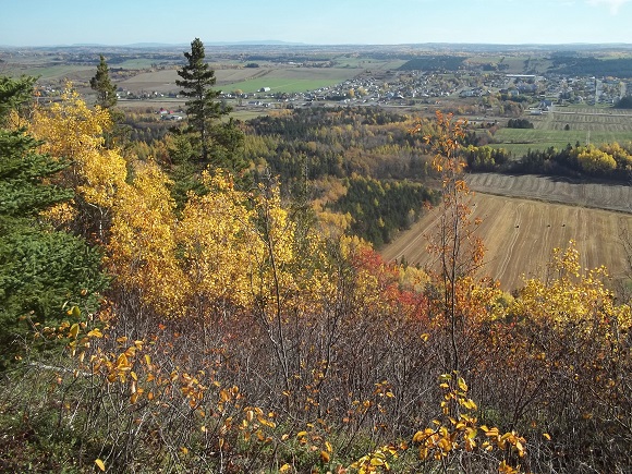 Point de vue sur St-Fabien