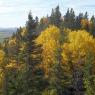 Vue depuis extrémité ouest du sentier