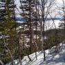 IMG_20190302_145309662_HDR