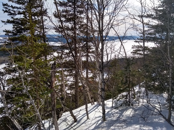 IMG_20190302_145309662_HDR