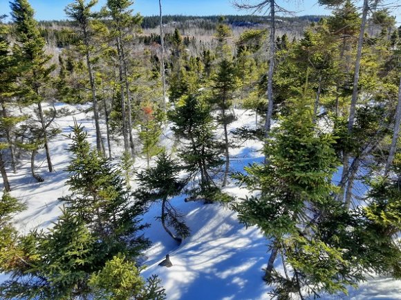 Point de vue nord