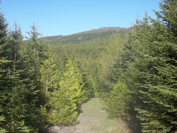 Mont Longue Vue