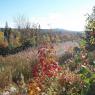 Au loin, le Mont Longue-Vue