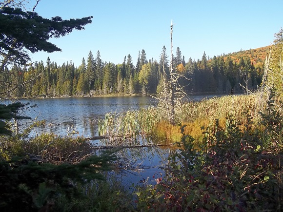 Lac Taché