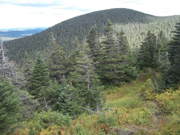 Vue depuis le petit sommet situé avant le Lac Dor