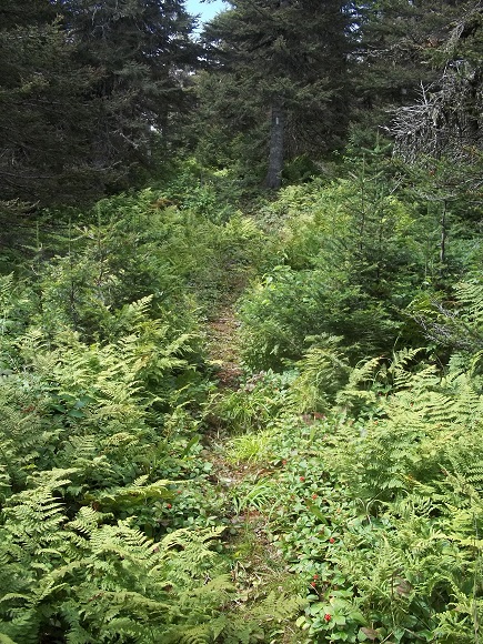 Descente du Pic Bleu