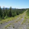 Sentier direction ouest depuis le secteur du sommet
