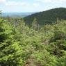 Boucle du sommet du Mont de l'Ouest