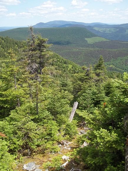 Boucle du sommet du Mont de l'Ouest
