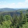Vue depuis chemin forestier lors du retour