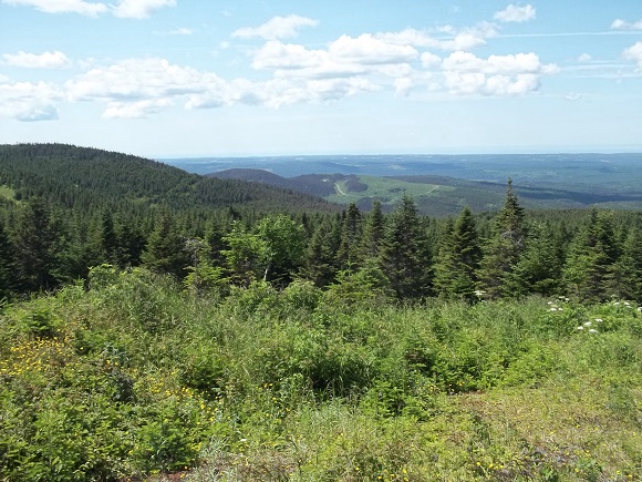 Vue depuis chemin forestier lors du retour