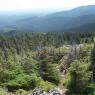 Mont Pointu