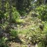 Sentier des Contreforts