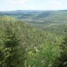 Vue sur la vallée du ruisseau des Pitounes