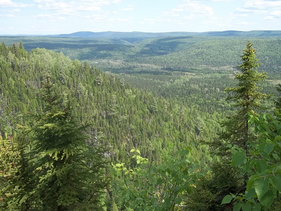 Vue sur la vallée du ruisseau des Pitounes