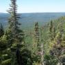 100_2536_50m