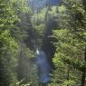Chute