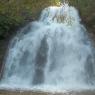 Chute