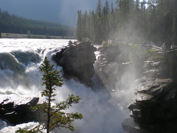 Chutes Athabasca
