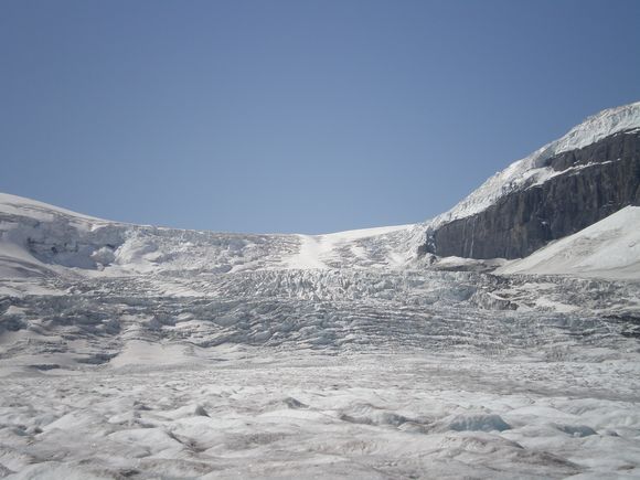 Columbia Icefield
