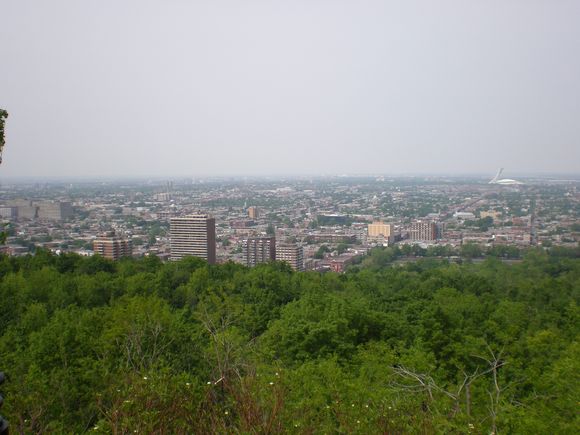 mont Royal